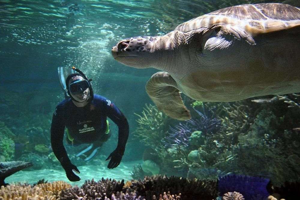 National Aquarium