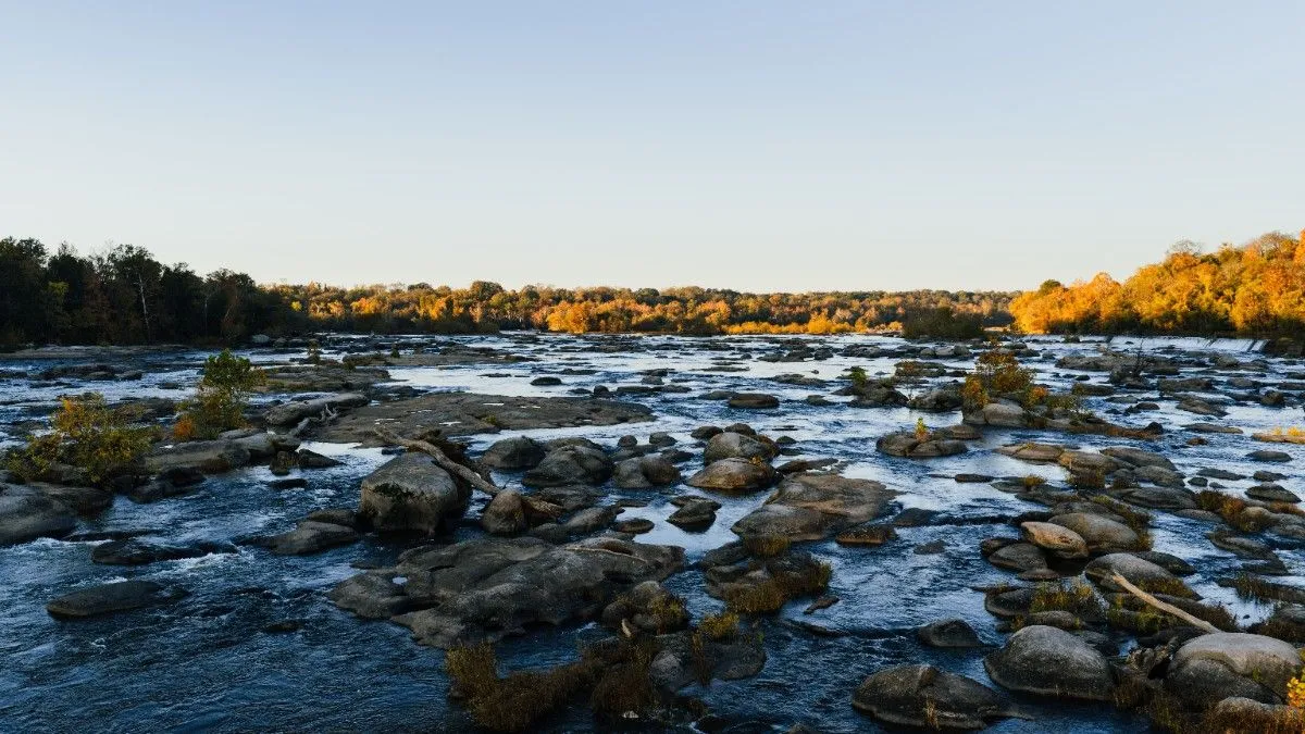 Best Places to Visit in Virginia: A Complete Travel Guide for Your Next Getaway